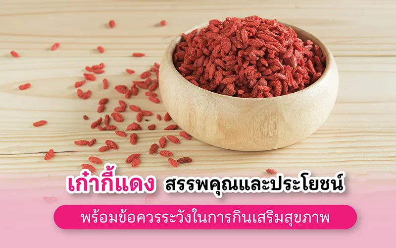 เก๋ากี้แดง สรรพคุณและประโยชน์ พร้อมข้อควรระวังในการกินเสริมสุขภาพ
